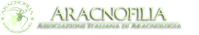 Aracnofilia – Associazione Italiana di Aracnologia
